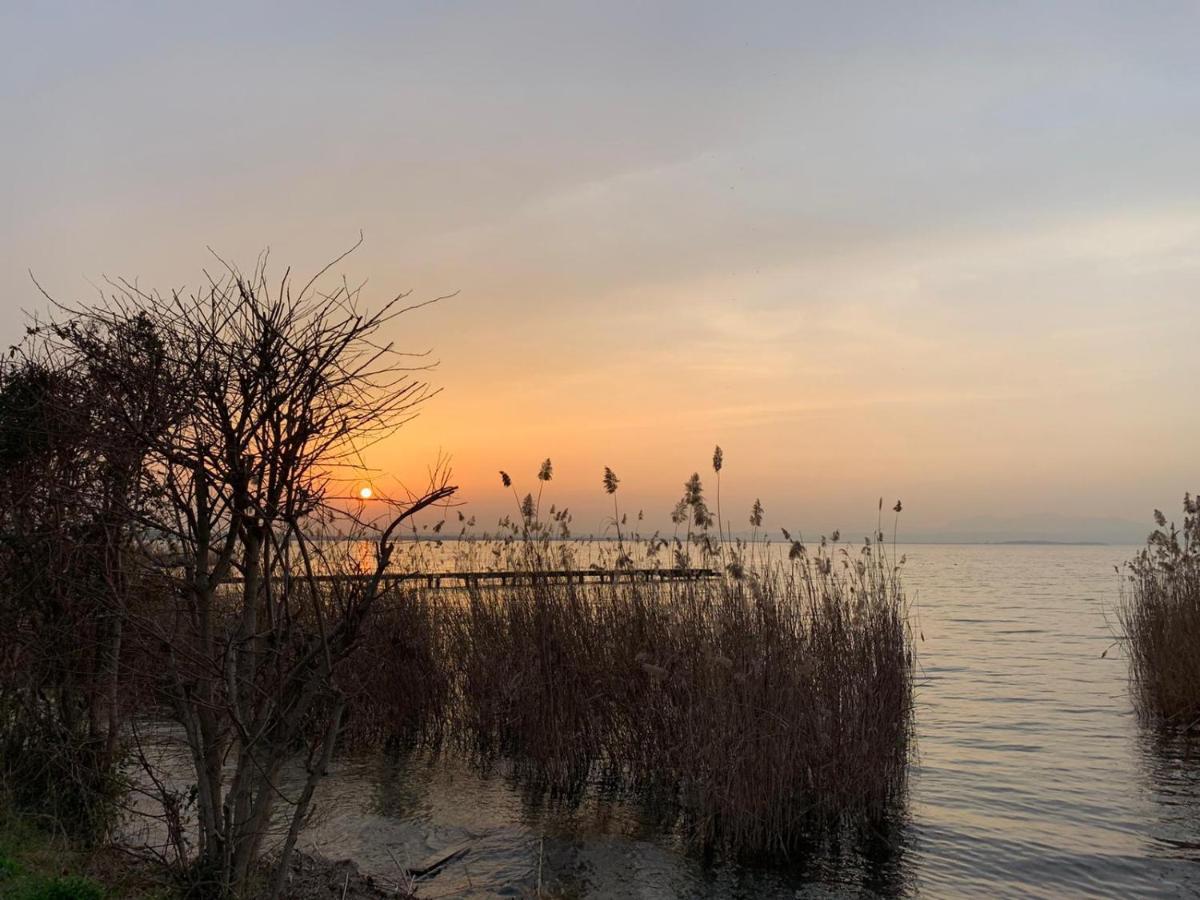 Residence Tasso Canossa - Appartamento Con Piscina Lazise Eksteriør bilde